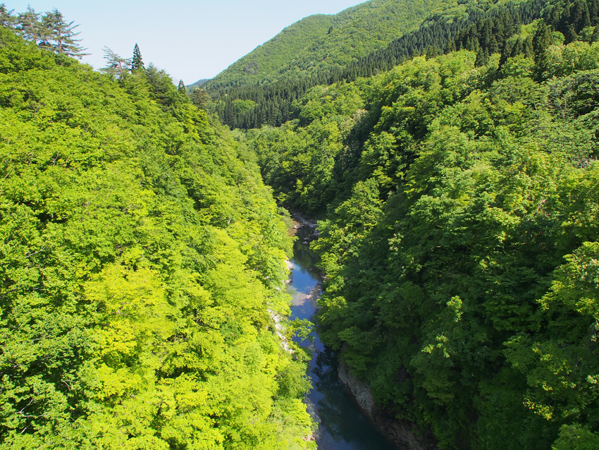 d0244687_8431311.jpg