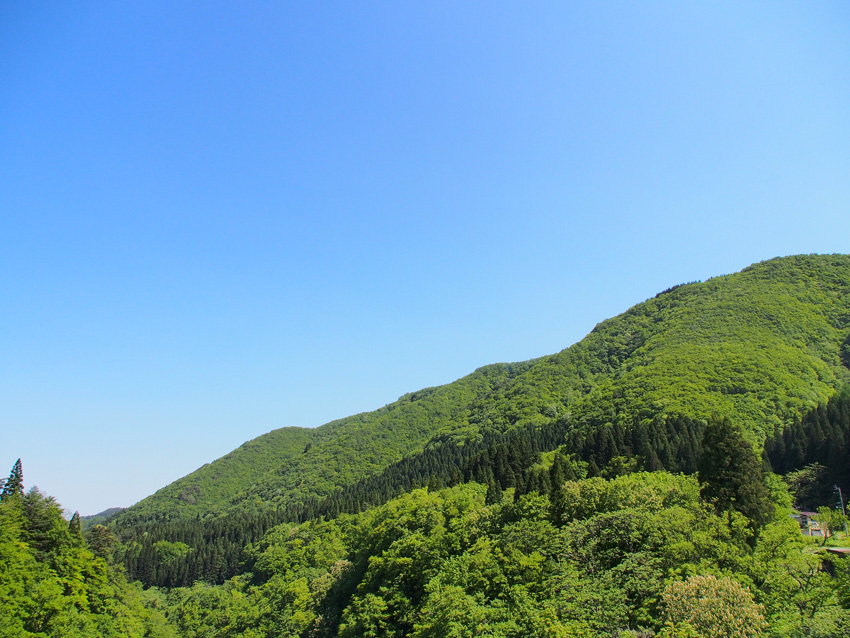 d0244687_8441721.jpg