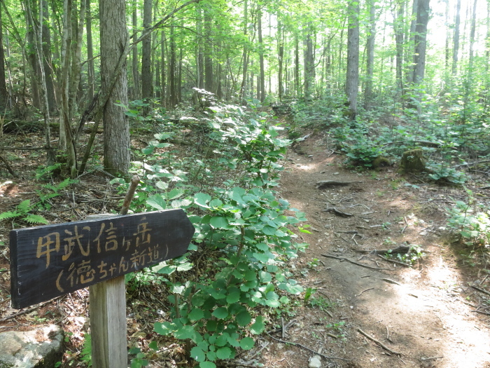 b0339488_22064665.jpg