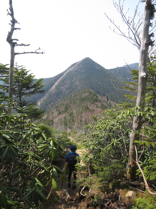 甲武信岳　1日目　木賊山から甲武信岳へ_b0339488_22065975.jpg