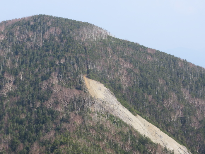 甲武信岳　1日目　木賊山から甲武信岳へ_b0339488_22081090.jpg