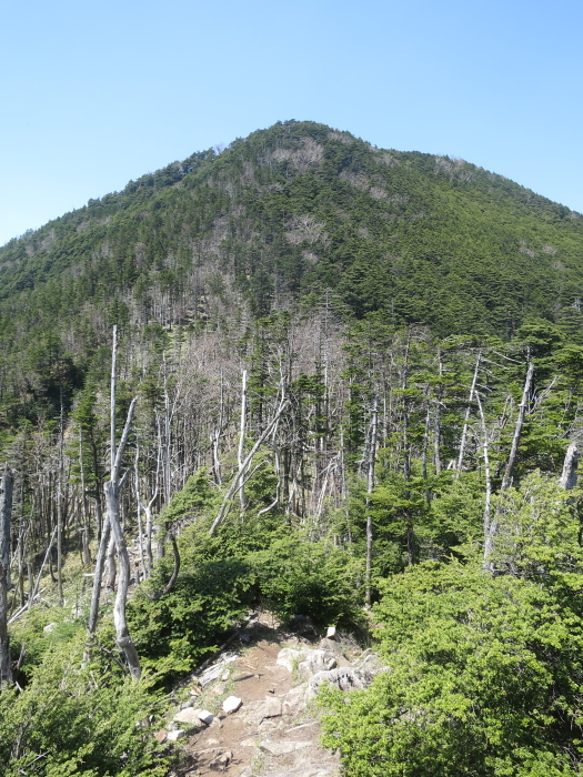 b0339488_22083220.jpg