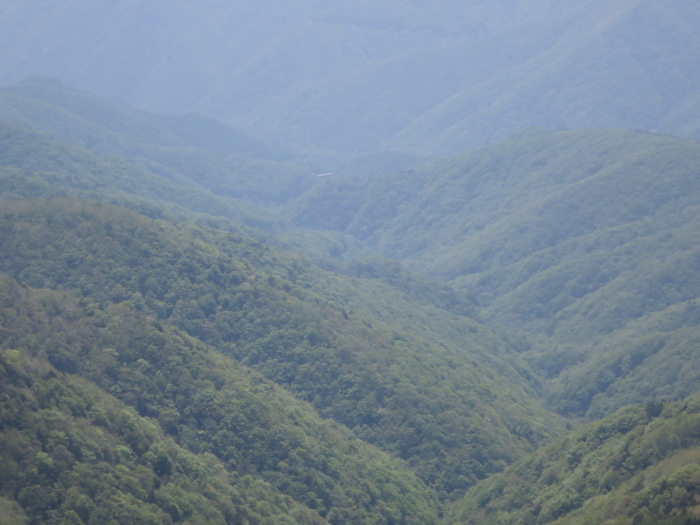 b0339488_22084390.jpg