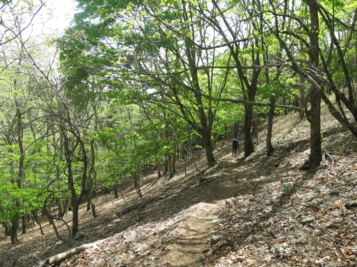 b0339488_22085062.jpg