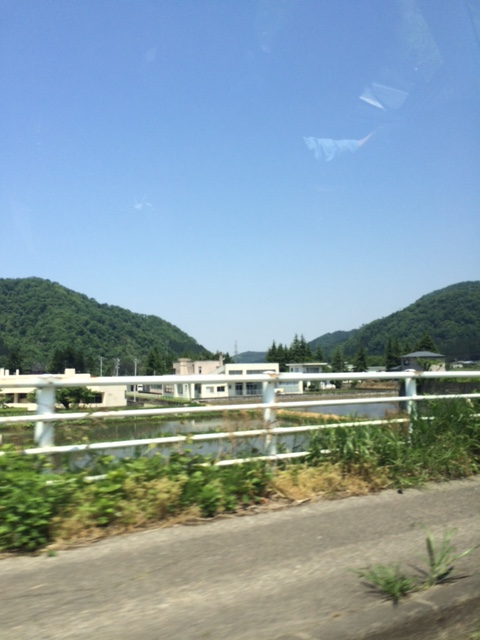 a0113889_1815176.png