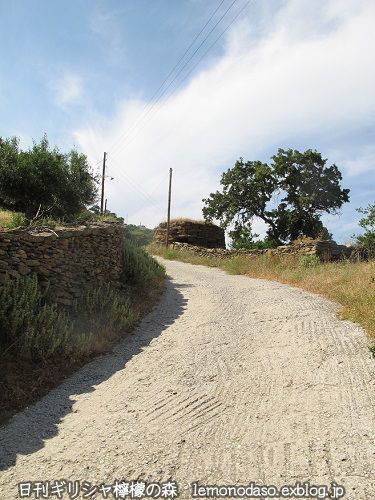c0010496_20454090.jpg