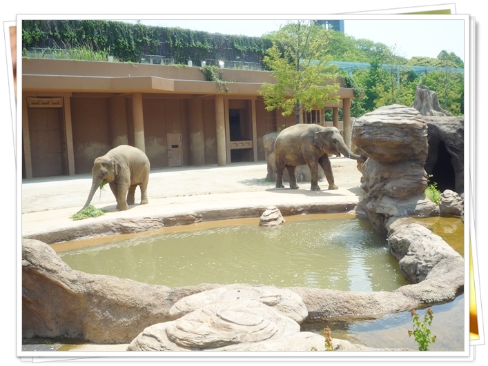 動物園へＧｏ♪_a0107198_13582269.jpg