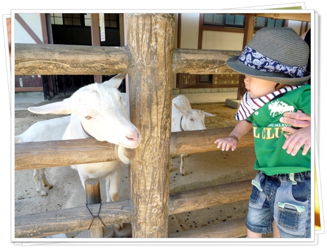 動物園へＧｏ♪_a0107198_14012300.jpg