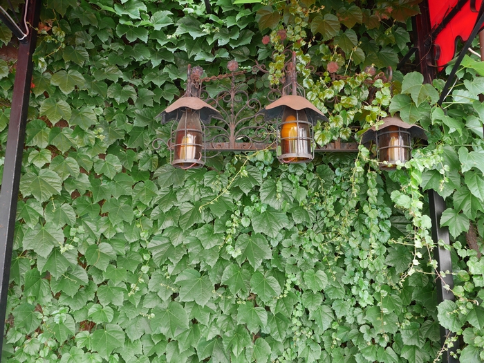 f0224100_2231475.jpg