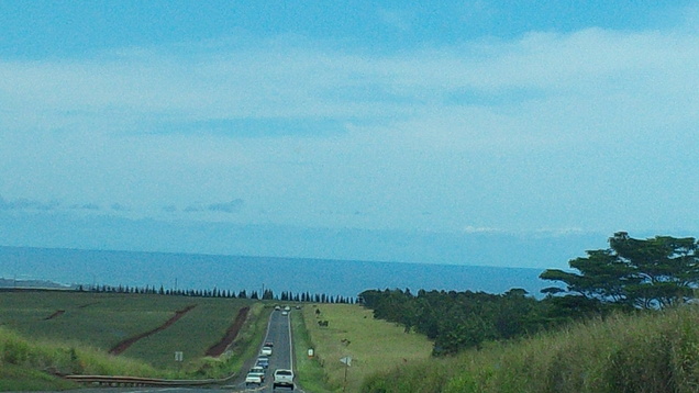 d0135801_23374457.jpg