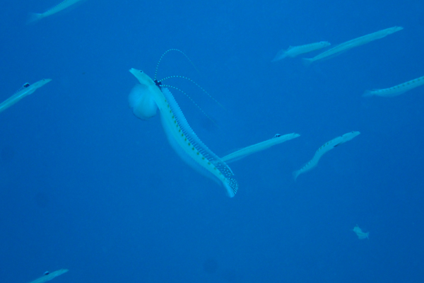f0121701_17582426.jpg