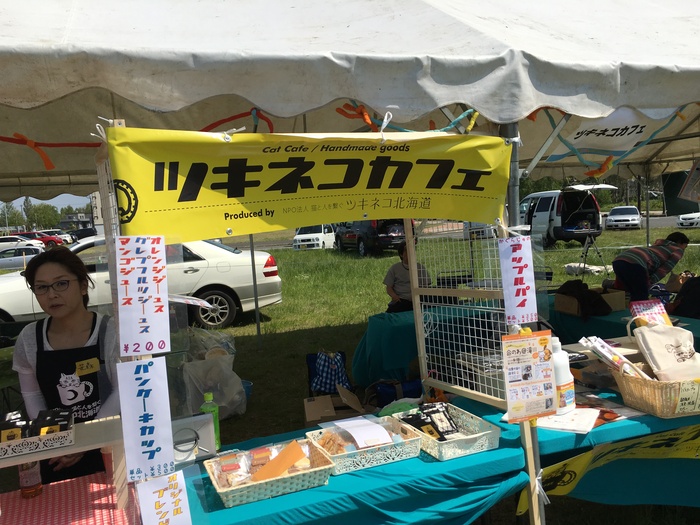わんにゃん譲渡会に行ってきました!_c0226202_21185681.jpg