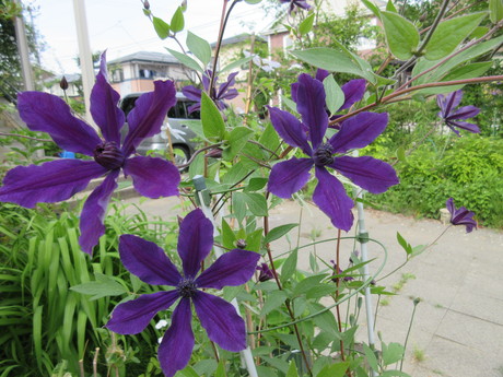 a0203003_16593010.jpg