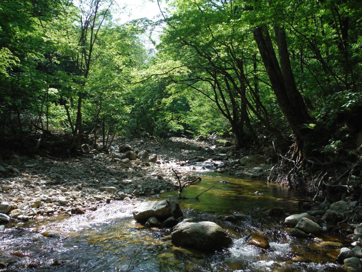 b0172805_10322526.jpg