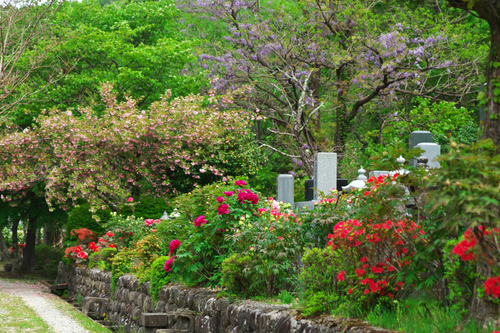 塩原　妙雲寺の牡丹2_a0263109_1062320.jpg