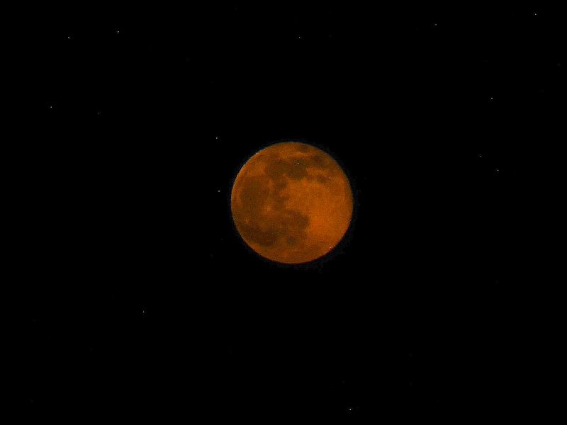 b0057612_1133158.jpg