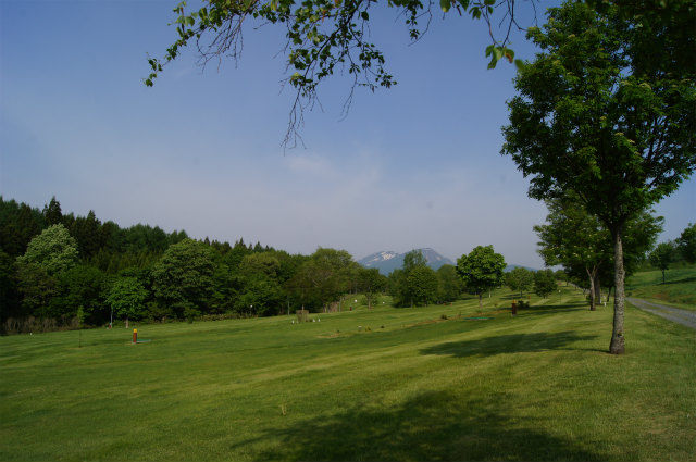 a0173819_8402866.jpg