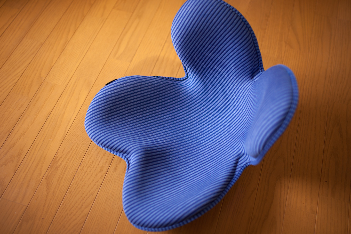 腰椎椎間板ヘルニアの悪化 Full Of Life