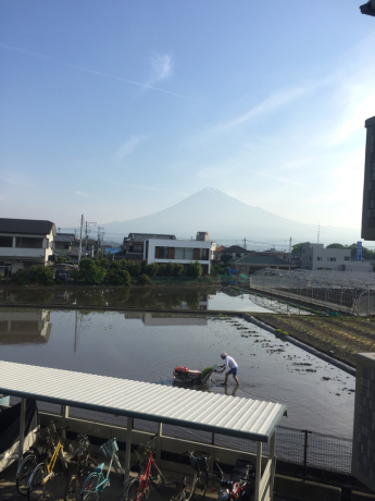 田植えシーズン_e0156620_08294968.jpg