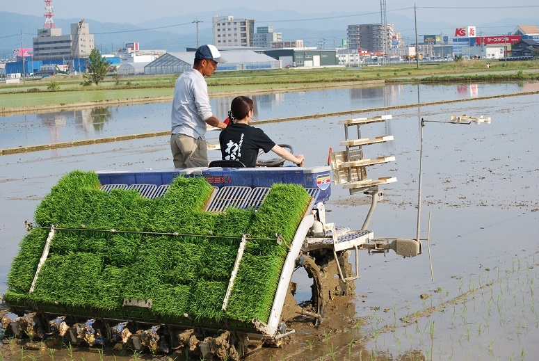 大丈夫米　御田植祭　２８年_f0067122_15335371.jpg