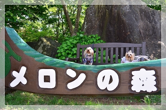 茨城県鉾田市「メロンの森」でワンコ連れＢＢＱ。_d0179828_09314583.jpg