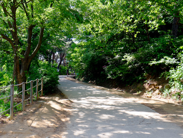 「韓国2016 世界遺産 南漢山城ハイキング」_a0000029_16144514.jpg