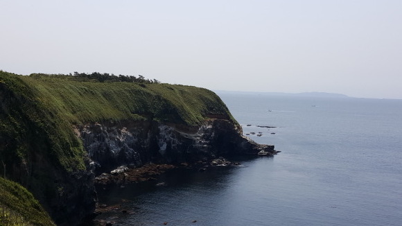 d0269832_09534192.jpeg
