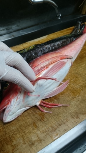 八角 はっかく 方々 ほうぼう 和食屋はんなり