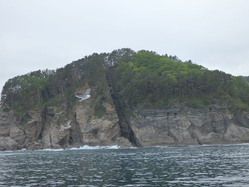 【三陸鉄道・途中下車の旅】北山崎断崖クルーズ（やませ編）_b0206037_08195662.jpg