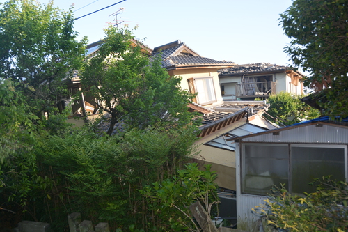 地震から一ヶ月過ぎても_c0085539_5513950.jpg