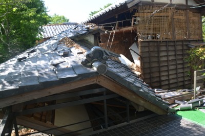 c0085539_674256.jpg