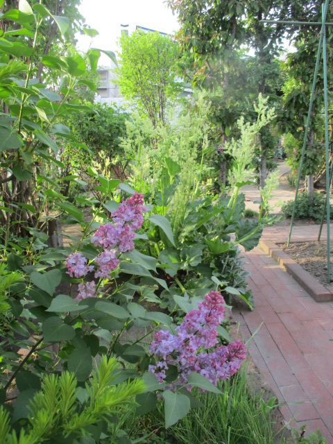 a0279743_65878.jpg