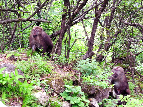 中国江南旅行記(3)_b0145843_2263310.jpg