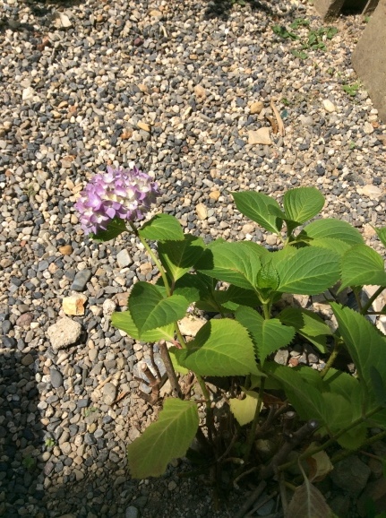 a0307846_17001131.jpeg