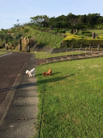 c0175756_11042791.jpeg