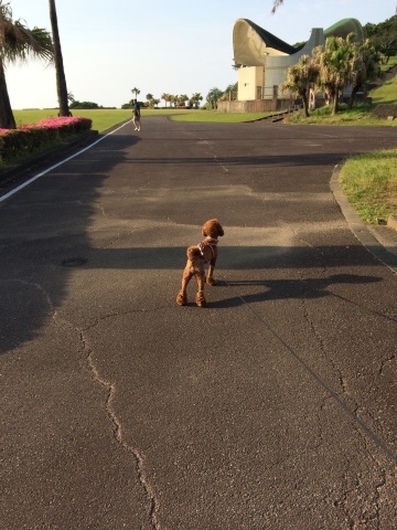 c0175756_11052240.jpeg