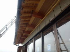 c0177059_8371068.jpg