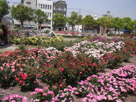 b0324461_17524561.jpg