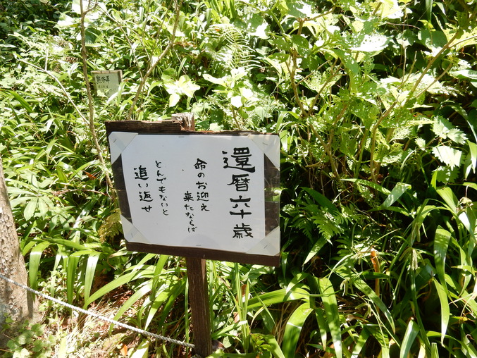 ’16,5,24(火)続・花野辺の里散策!_f0060461_11145291.jpg
