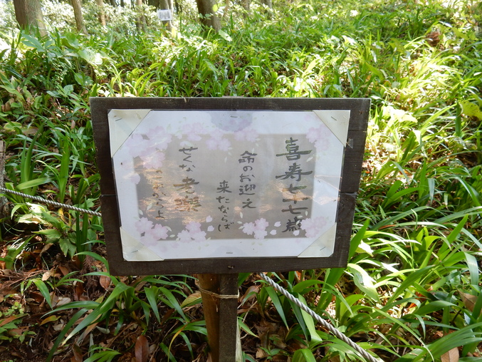 ’16,5,24(火)続・花野辺の里散策!_f0060461_11183534.jpg