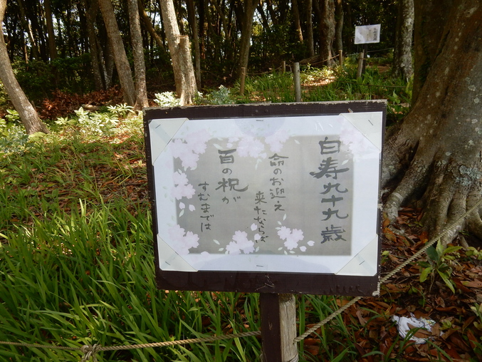 ’16,5,24(火)続・花野辺の里散策!_f0060461_11213521.jpg