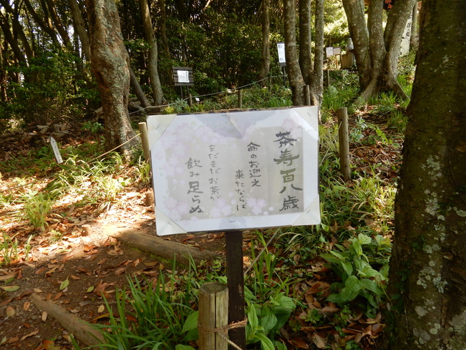 ’16,5,24(火)続・花野辺の里散策!_f0060461_1122098.jpg
