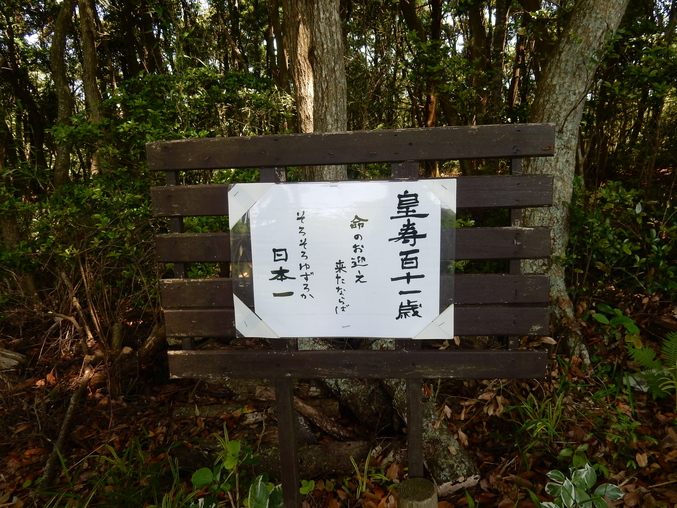 ’16,5,24(火)続・花野辺の里散策!_f0060461_11222784.jpg