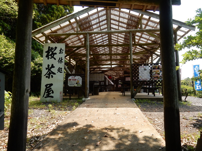’16,5,24(火)続・花野辺の里散策!_f0060461_11245483.jpg