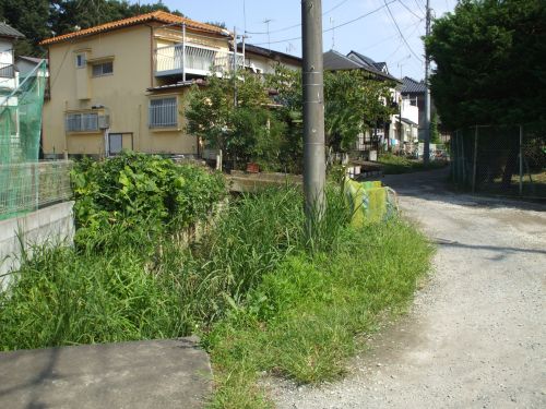 b0206463_13225460.jpg