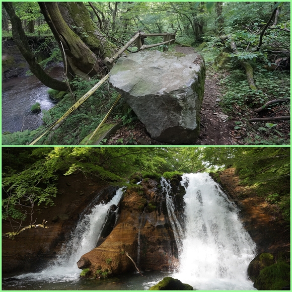 平治岳山麓から湯布院盆地花散策(ラストは沓掛山）_f0016066_6183568.jpg