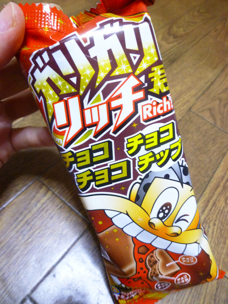 ガリガリ君リッチ チョコチョコチョコチップ@赤城乳業_c0152767_2211642.jpg