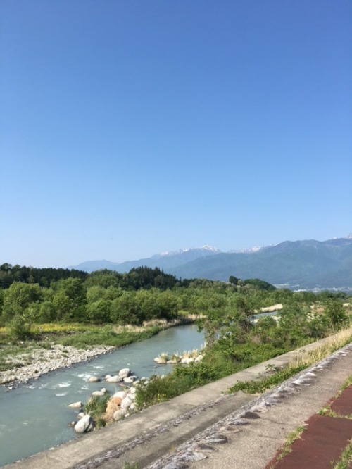 春から夏へ新緑が萌えるように美しい梅雨に入る前のこの爽やかな季節が一番気持ちいいですね♪_b0125570_10522833.jpg