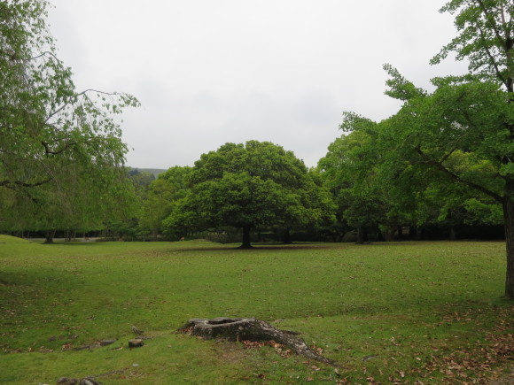 c0001670_20074757.jpg