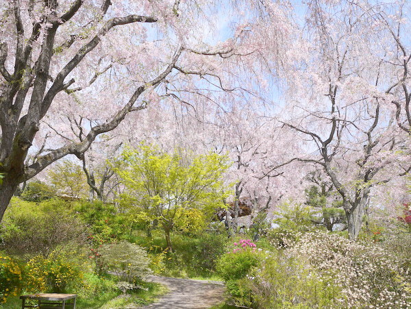 b0358575_00002516.jpg